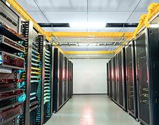 Happy New Year 2026！