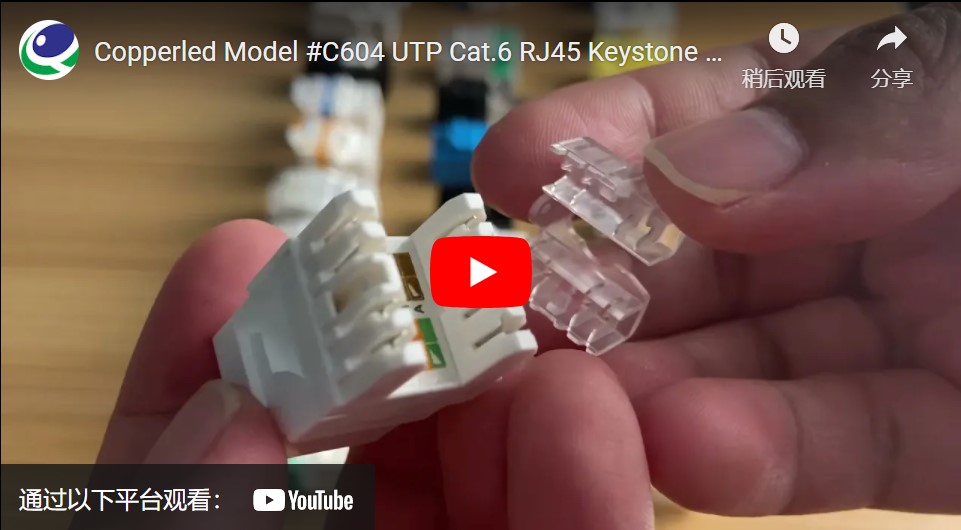 UTP Cat.6 Keystone Jack 180 Degree